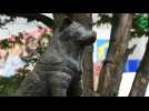 Tokyo fête les 100 ans de Hachiko, le chien symbole de loyauté
