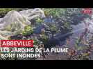 Les jardins de la Plume d'Abbeville inondés