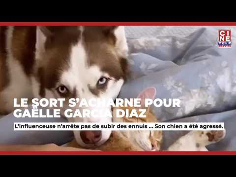 VIDEO : Le chien de Gaëlle Garcia Diaz sauvagement agressé - Ciné-Télé-Revue