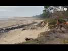 VIDEO. Tempête Ciaran : dans la Manche, le havre de la Vanlée a encore souffert