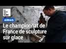Arras : le beau succès du championnat de France de sculpture sur glace