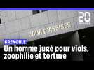 Grenoble : Un homme jugé pour viols, zoophilie et actes de torture