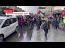 VIDÉO. À Rennes, ils marchent pour demander un cessez le feu à Gaza