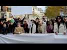 Guerre Israël-Hamas : marche silencieuse à Paris à l'appel du monde de la culture