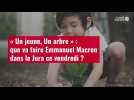 VIDÉO. « Un jeune, Un arbre » : que va faire Emmanuel Macron dans le Jura ce vendredi ?