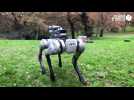 VIDÉO. A Angers, cette école d'ingénieurs a acheté un robot chien