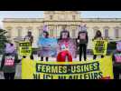 Greenpeace se mobilise devant la préfecture de Montpellier