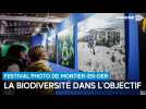 La biodiversité dans l'objectif du Festival photo de Montier-en-Der