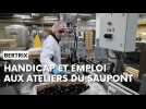Handicap et emploi : reportage aux Ateliers du Saupont en Belgique