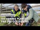90 élèves plantent des arbres avec le parc naturel des Ardennes