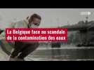 VIDÉO. La Belgique face au scandale de la contamination des eaux