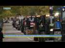Toulouse : fumier, tracteurs.... En immersion avec les agriculteurs en colère