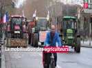 Les agriculteurs déversent du fumier devant la Cité administrative de Toulouse