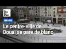 Le centre-ville de Douai et le parc Bertin se parent d'un blanc manteau