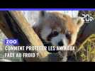 Zoo : Comment protéger les animaux face au froid ?