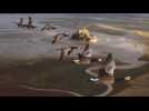 Le peuple migrateur
