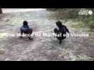 VIDEO. « On se sert de la nature pour  notre sport » : en Vendée, ces femmes pratiquent le Mov'Nat