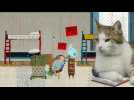 Mr Chat et les Shammies