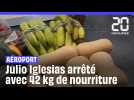 Julio Iglesias arrêté avec 42kg de nourriture à l'aéroport