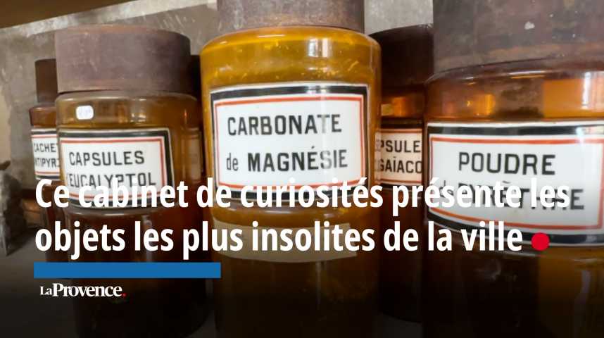 VIDEO. À Marseille, ce cabinet de curiosités abrite les objets les plus insolites de la ville 