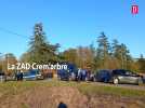 Evacuation de la ZAD Crem'arbre de Saix