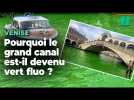 Extinction Rebellion colore le grand canal de Venise en vert fluo
