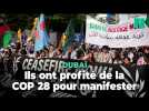 Des manifestants réclament un cessez-le-feu et la justice climatique en pleine COP 28