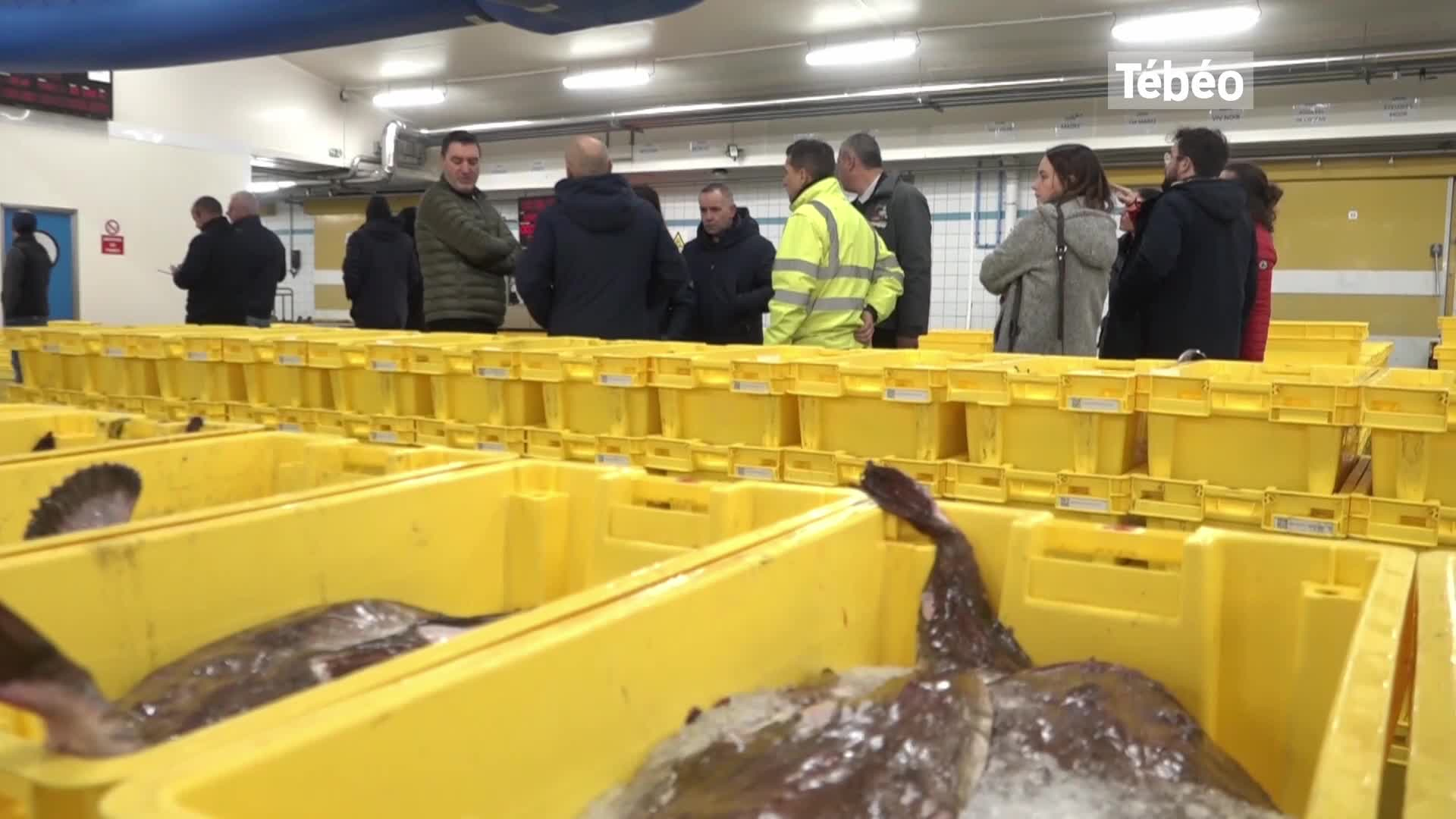 Pêche : le mareyage breton touché mais pas coulé