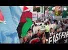 VIDEO. Des centaines de manifestants défilent à Dubaï pour Gaza et la justice climatique