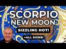 Scorpio New Moon - Sizzling Hot! + All Signs