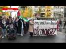 VIDEO. Mobilisation pour la Palestine : près de 1000 personnes dans la rue à Nantes