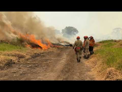 Flames continue spreading in Brazil's Pantanal wetlands