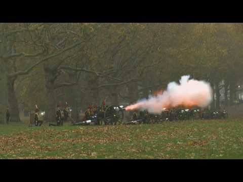 41-gun salute in London's Green Park for King Charles' 75th birthday