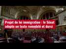 VIDÉO.Projet de loi immigration : le Sénat adopte un texte remodelé et durci
