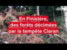 VIDÉO. Tempête Ciaran en Finistère : dans ces forêts, le bleu du ciel a remplacé les cimes d'arbres