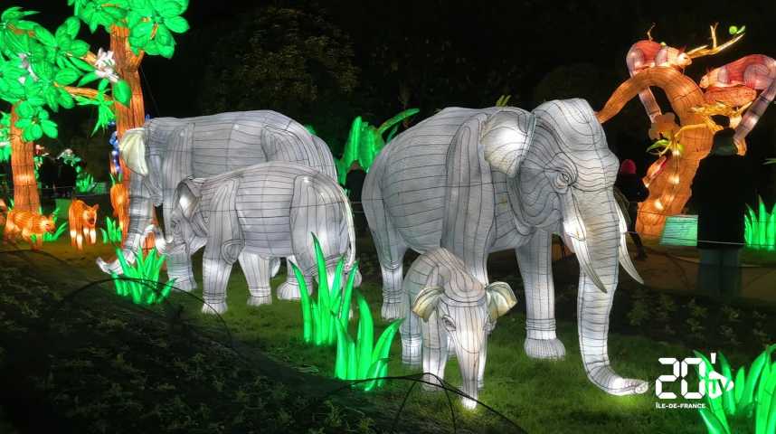 « Jungle en voie d’illumination » : Découvrez l’exposition de lanternes lumineuses au Jardin des plantes