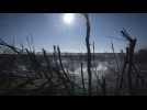 Ukraine : Kherson bombardée le jour anniversaire de sa libération