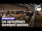 Inondations dans la Pas-de-Calais : Les agriculteurs durement touchés