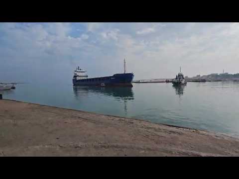 Turkish ship carrying field hospitals docks in Egypt near Gaza