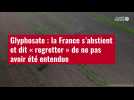 VIDÉO.Glyphosate : la France s'abstient et dit « regretter » de ne pas avoir été entendue