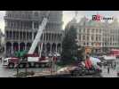 Il est arrivé, la saison de Noël a commencé : le majestueux sapin trône sur la Grand-Place de Bruxelles