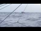 VIDÉO Transat Jacques Vabre. Quand Sébastien Simon (Groupe Dubreuil) croise un canot de survie en pleine mer...