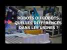 Robots ou cobots quelles différences ?