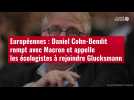 VIDÉO. Européennes : Daniel Cohn-Bendit rompt avec Macron et appelle les écologistes à rejoindre Rap