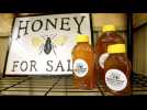 Les eurodéputés demandent un étiquetage plus clair du miel afin d'enrayer les fraudes