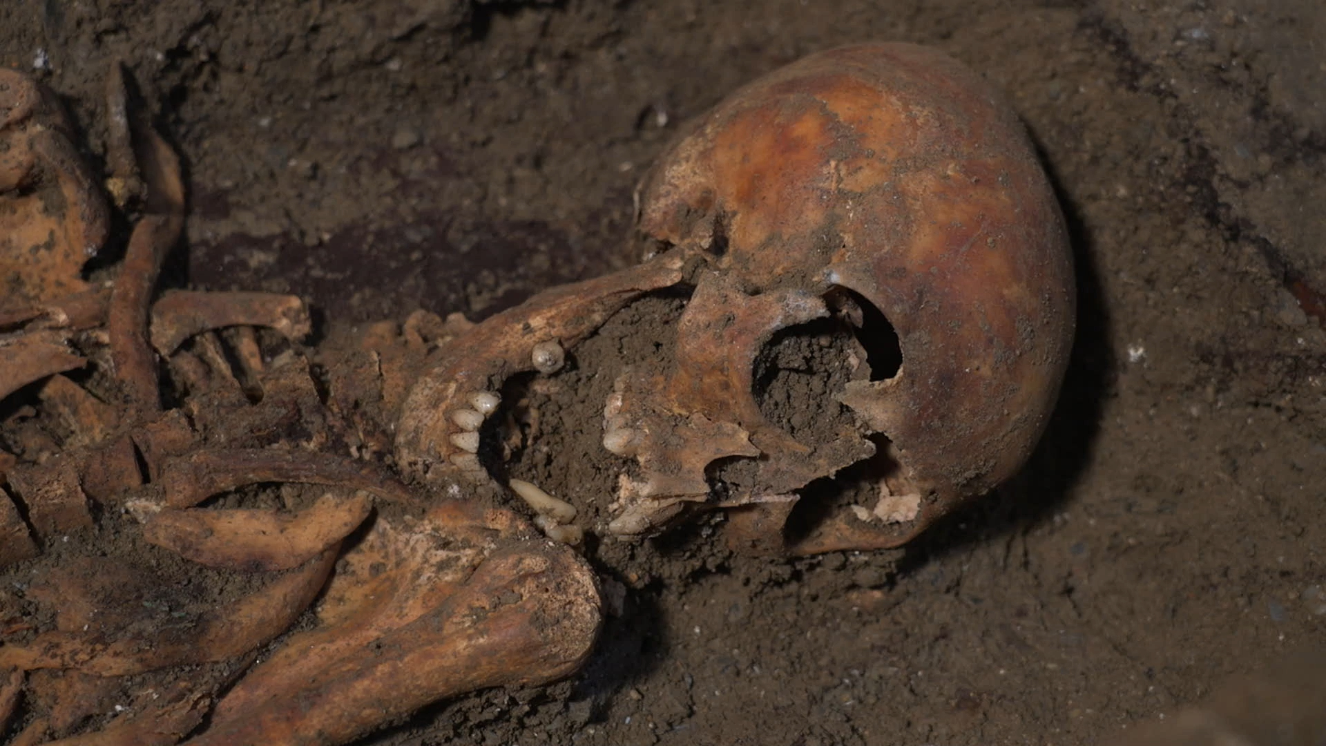 À Morlaix, 250 squelettes trouvés dans l'église des Jacobins lors de fouilles archéologiques [Vidéo]