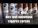 Des Caraïbes à Carticasi, l'odyssée des tout nouveaux cigares corses