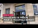 Cour d'assises de l'Aube : douze ans de prison pour le pédophile repenti