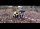 Les élèves horticulteurs de l'EREA plantent 1 000 arbres