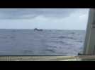 VIDÉO. « Ça fait peur » : Thomas Coville croise de près un bateau de pêche sur l'Ultim Challenge